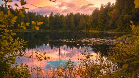 黄昏森林湖泊自然风景