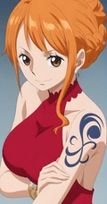 海贼王娜美不同造型同人插画系列组图